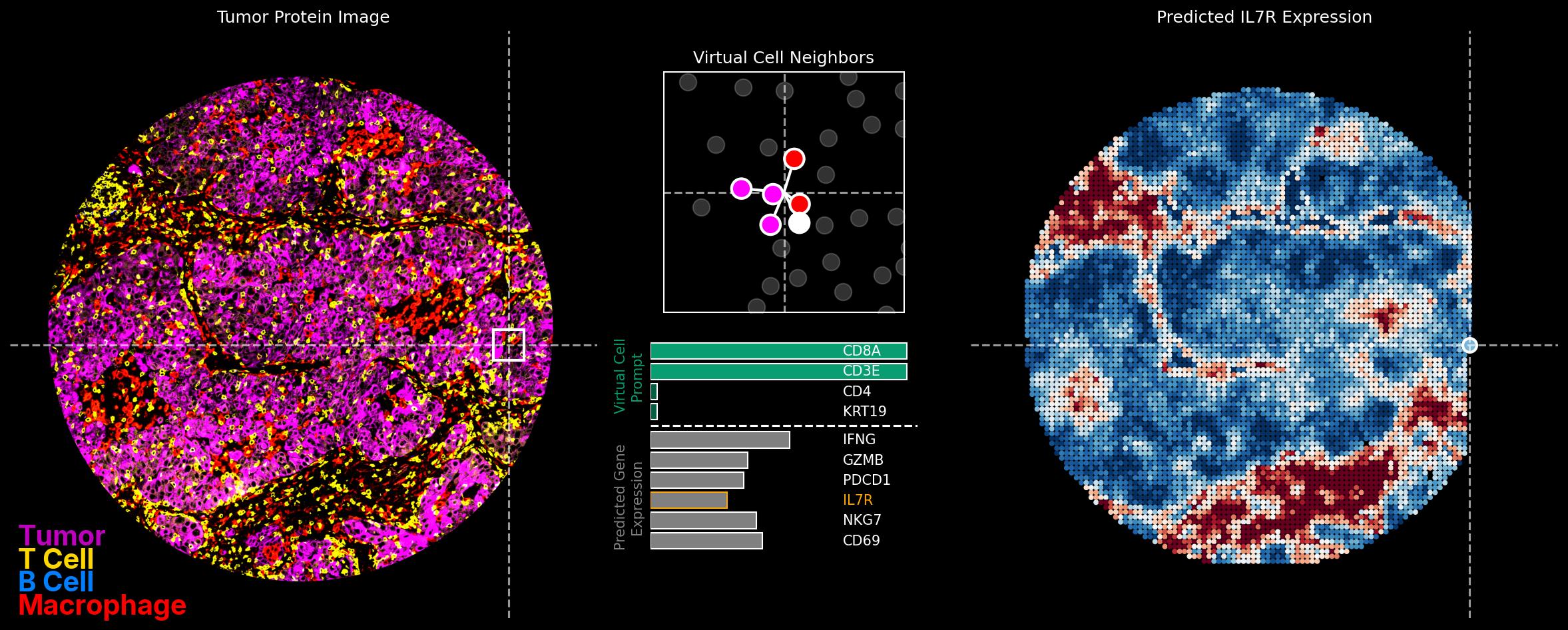 A still from our technical report on OCTO-vc